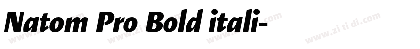 Natom Pro Bold itali字体转换 Natom Pro Bold itali字体转换